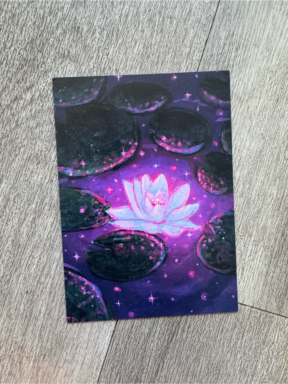 Vibrant Purple Lily Pond Art Print
